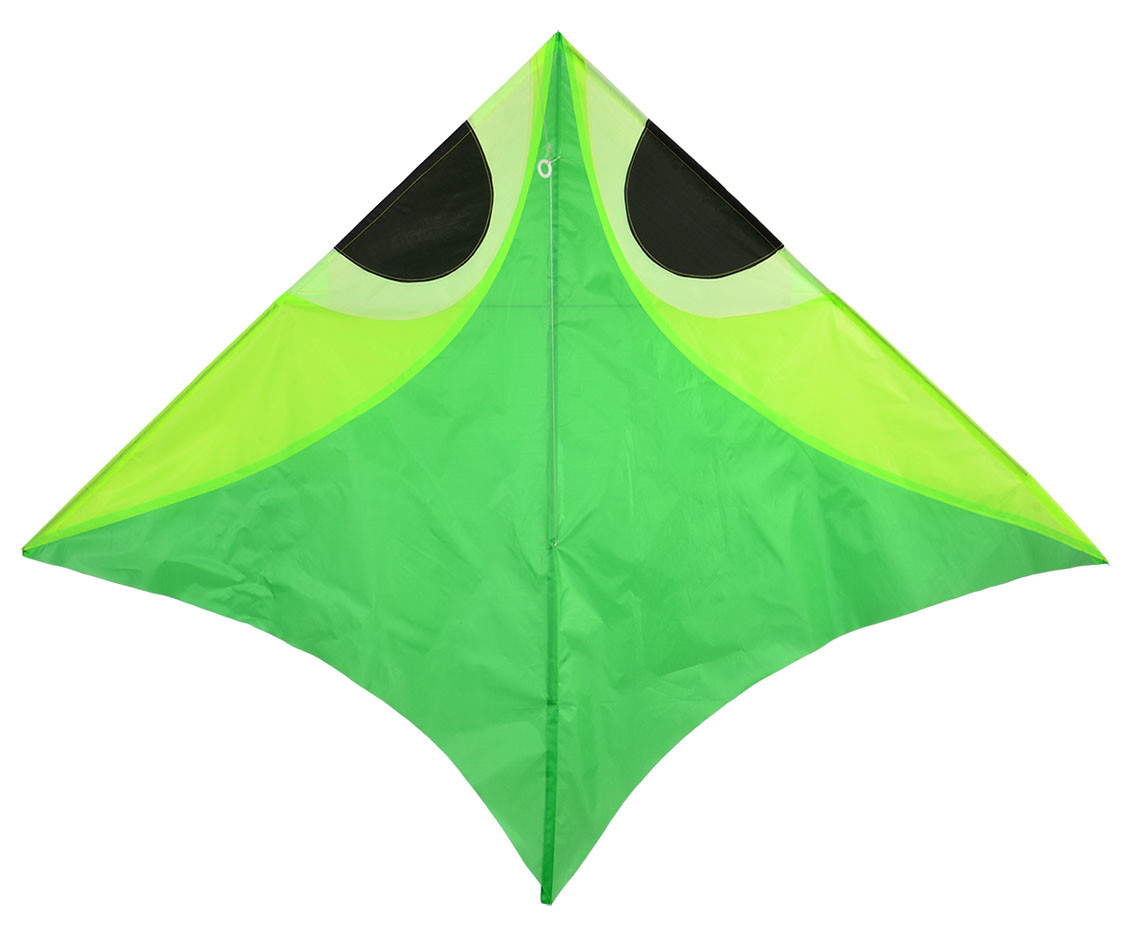 Kids Playing Use Delta Wing Kite Without Tail Fish Pattern 180*142cm