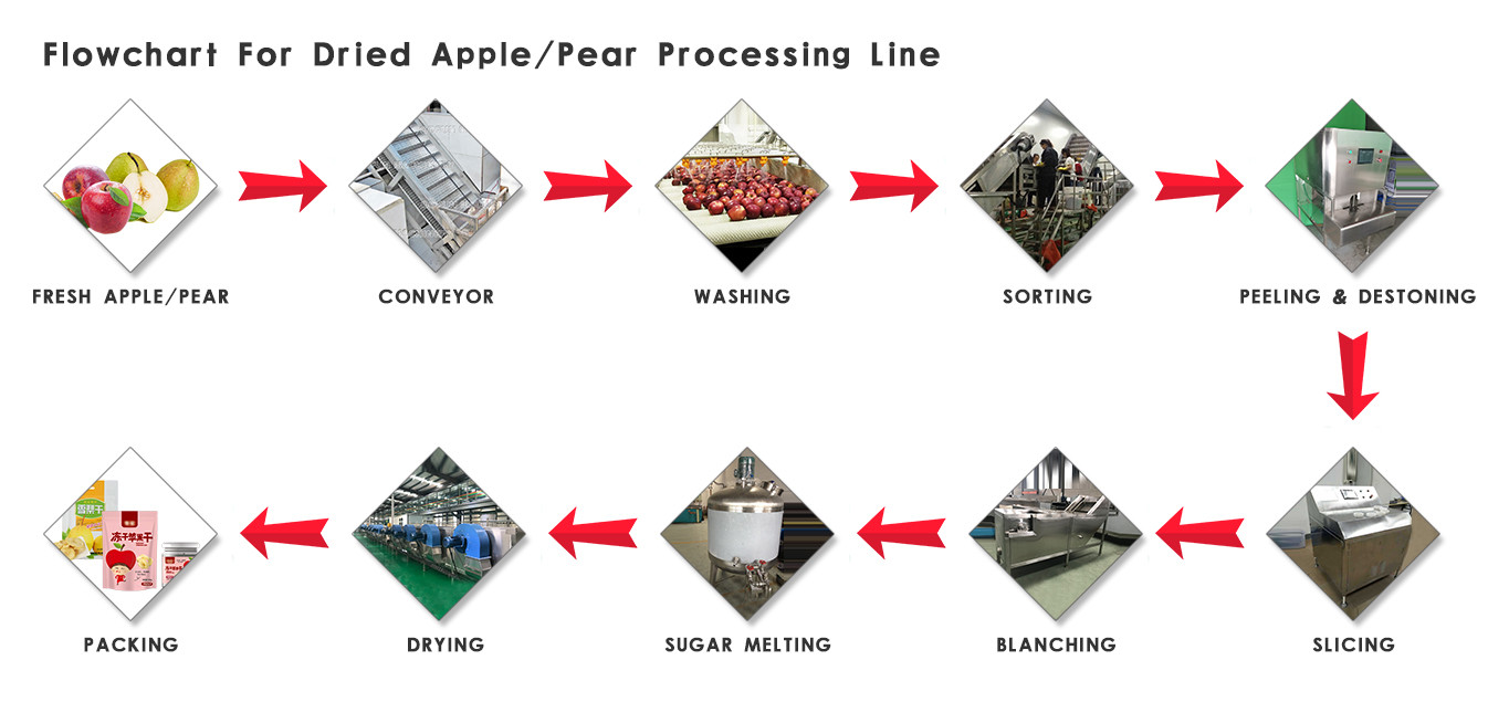 Automatic Industrial Fruit Dryer / Fruit Drying Machine Industrial