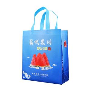 Quality 80gsm Eco Friendly Polypropylene Non Woven Bags For Supermarket wholesale