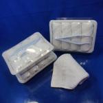 Bleach Disposable Compressed Towels