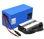 24v Rechargeable Lithium Ion Battery Packs 48v 36v For Powered Scooter