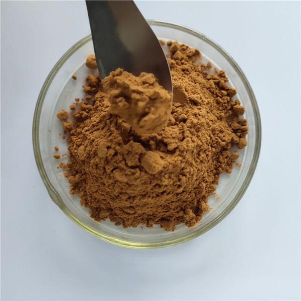 Cheap Persimmon Leaf Extract For Stimulate Appetite for sale
