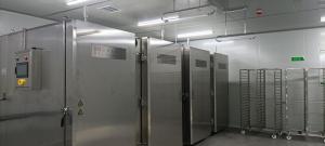Quality PLC Cryogenic Freezing Chamber SS304 Large Chest Freezer Minus 120C Fruit wholesale
