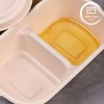 Biodegradable 2 Compartment Bagasse Sugarcane Bento Box - Sustainable Disposable