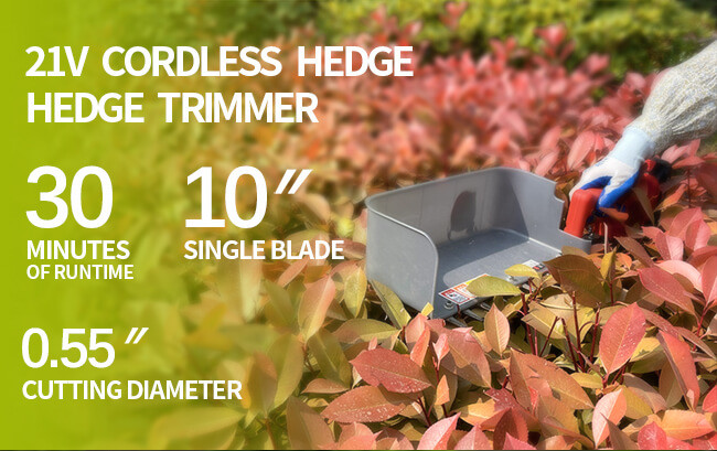 Customized Professional Harvester Tea Leaf Picker Picking Tea Plucker Plucking Machine Electric