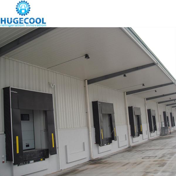 Industrial Logistics Fish Freezer Construction for Frozen Food Seafood Meat