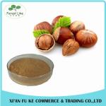 Anti-oxident Product Hazelnut Extract Powder 5:1 - 20:1