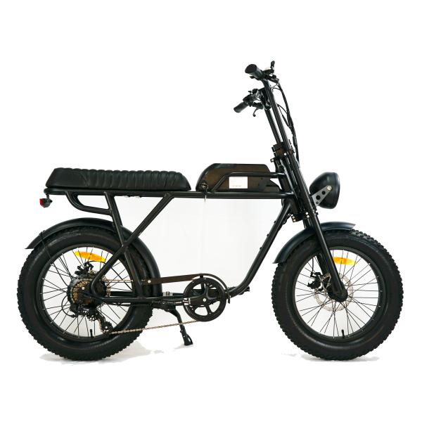 Retro Electric Bike with 20" Wheel Size and High Selling 48V20Ah Lithium Battery
