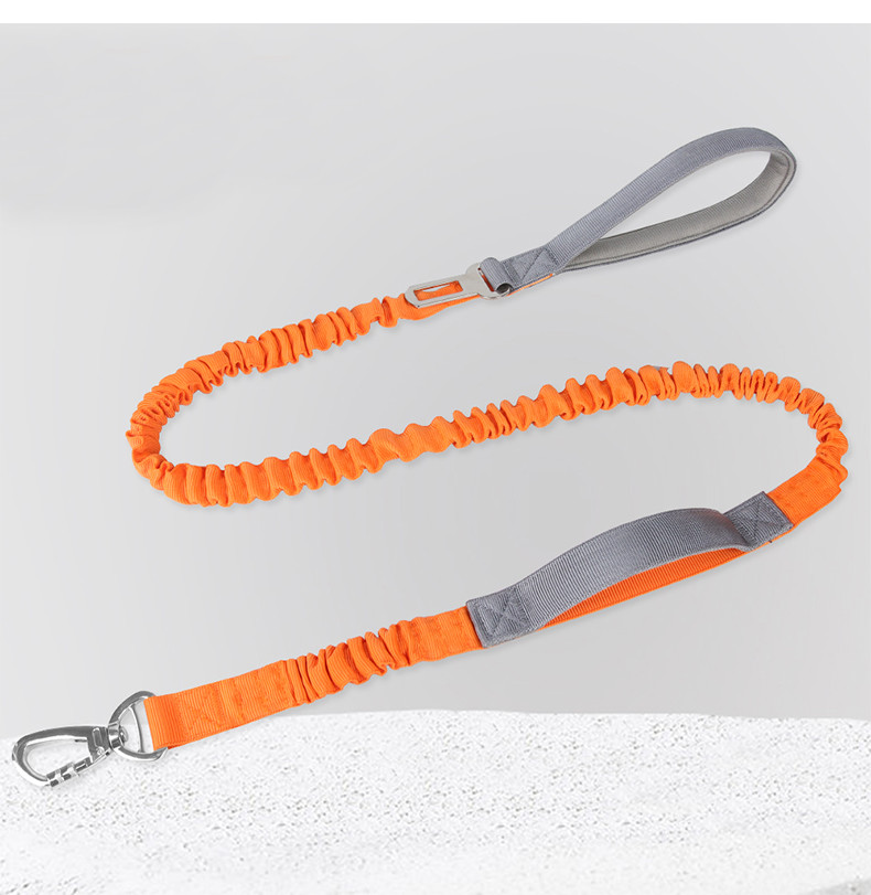 Pet Multifunctional Contrasting Color Leashes Imitation Nylon Hollow Webbing Explosion Proof Dog Walking Leash