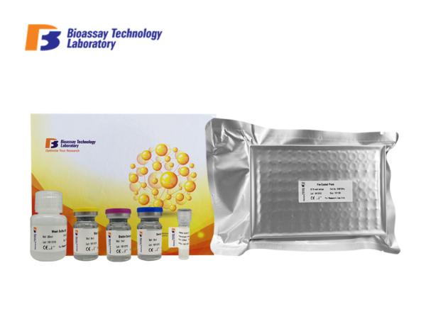 T3 Sandwich Bovine ELISA Kits Customized Tri - iodothyronine Immunoassay Test