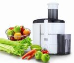 KP60PA power juicer from kavbao