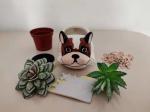 Succulent Plant Animal Pot with Dog Style