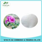 Vinca Rosea / Catharanthus Roseus Extract Powder Vinpocetine 99%
