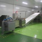 Automatic Electric 1.5Kw Cookie Ball Dough Divider Industrial Bread High