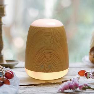 Quality Commercial Ultrasonic Aroma Diffuser Aromatherapy Diffuser Humidifier wholesale