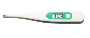 Quality Professional Testing Digital Clinical Thermometer With 1 Year Warranty wholesale
