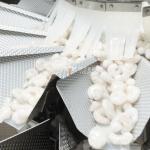 Full Automatic Multihead Weigher Premade Bag Doypack Packing Machine Frozen Food