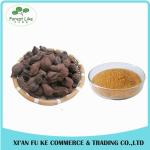 High Pure Physcion Powder 99% Fo-ti Root Extract