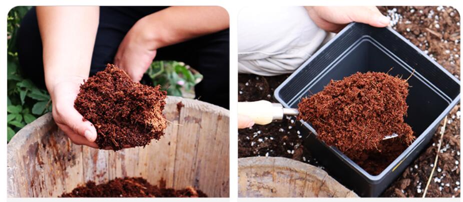 Supply Hydraulic 5KG Cocopeat Block Press Packing Machine for Plant Fiber Block