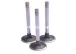 Navistar DT466 Intake Exhaust Valves