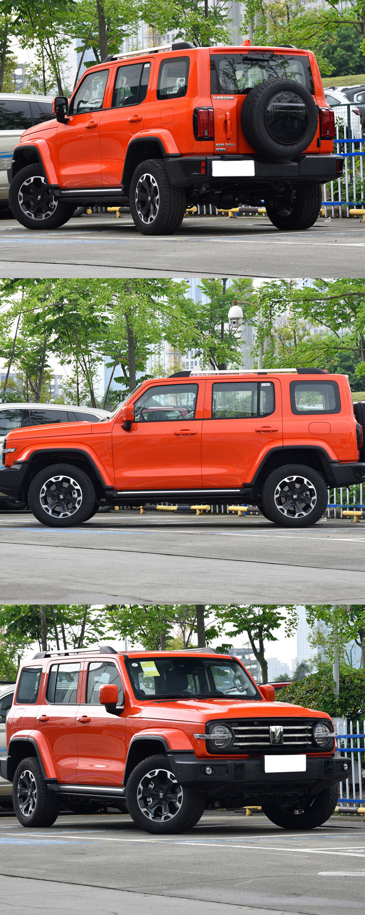 China Hybrid Gasoline Great Wall SUV Tank 300 New Car Automobile 5 Seater GWM