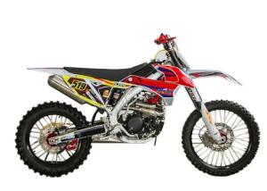Quality High Strength Engine Childrens Gas Powered Dirt Bikes With Durable Alloy Swing Arm wholesale