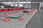 Farming 200kgs Plastic Slatted Goat Flooring Poultry 500mm
