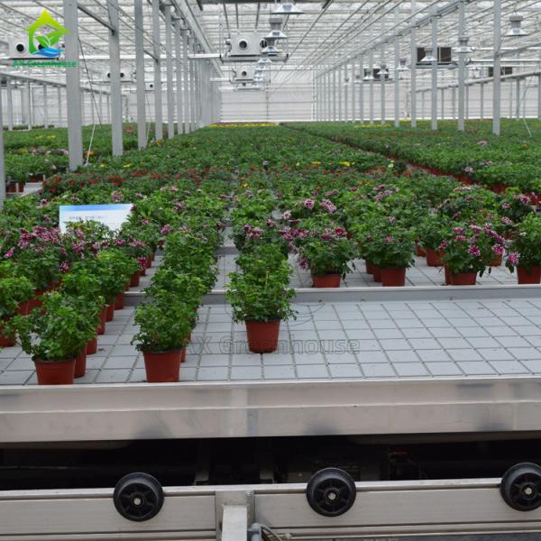 Agricultural Soilless Culture Hydroponic Greenhouse Rolling Bench Grow Table