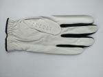 golf glove , golf gloves , glove , gloves
