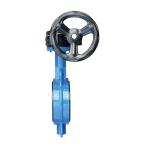 Manual Resilient Seated Ductile Cast Iron Industrial Control Wafer Lug Butterfly