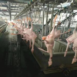 Quality Automatic Small Abattoir Poultry Slaughterhouse Equipment Chicken Mobile Machinery wholesale