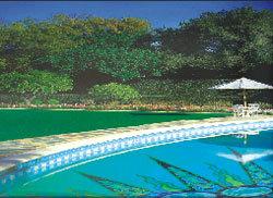 Quality 56000 Bunch / m2 Residential / Commercial Green Artificial Grass Landscape for Indoor wholesale