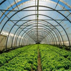 Quality Film Cover Single Layer Agricultural Greenhouse for Sustainable Farming wholesale