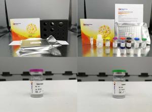 Quality Rabbit APO B48 Sandwich ELISA Kit Apolipoprotein B-48 ELISA Assay Kit 96 Wells wholesale