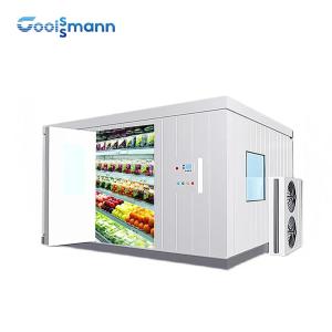 Quality Commercial Cold Room Freezer Container For Frozen Vegetable And Fish Seafood wholesale