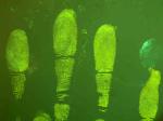 C021 Acid fluorescencent yellow spray