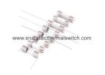 Wide Temperature Euro 5 * 20 Mm Glass Tube Fuse For Loudspeaker