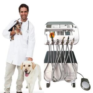 Quality Veterinary Dental Equipment Pet Tooth Treatment Machine Move At Will Vet Use Pet Dental Treatment Unit With Compressor wholesale