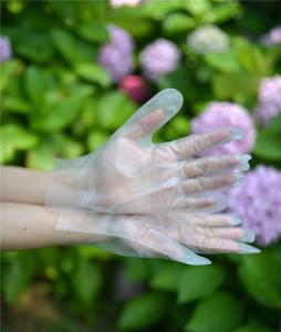 Quality Transparent Cleaning 0.8g/Piece Disposable Hdpe Gloves wholesale