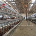 3 Tiers 40cm Cell Height Layer Battery Cage System For Improved Layer Productivi