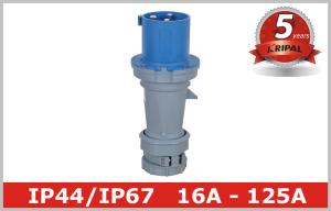 Quality Safety IEC Receptacle Industrial Plugs / 32 Amp Industrial Socket wholesale