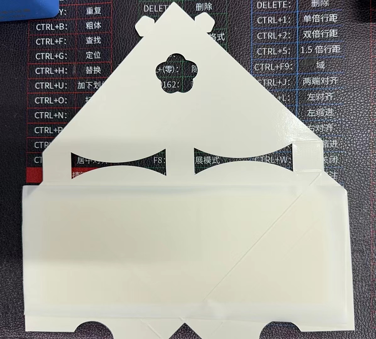 Eco-friendly Window Insect Trap and 2.0g Glue The Ultimate Beetle Control Solution