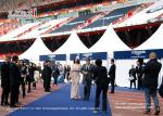 Customized Size Pagoda Marquee Tent For Party / Outdoor Gazebo Tent