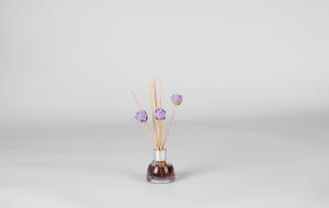 Quality OEM 30ml Diffuser Fragrance Gift Sets for office wholesale