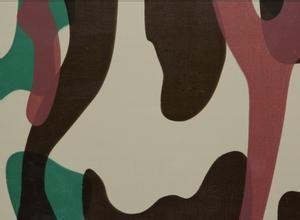 Quality Camouflage color prepainted Steel Coil wholesale