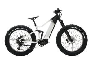 Quality Alloy Suspension Frame Fat Tire Bike , Pedal Assist Fat Bike Mid Drive Motor wholesale