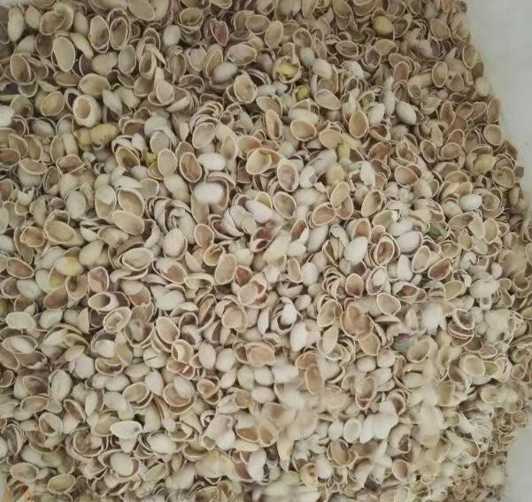 Automatic Plastic Recycle Machine Pistachio Sheller Production Line For Nut Processing Plant