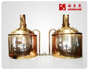 Quality 300L Restaurant Beer Fermenting Equipment Energy Saving And Reducing Emission wholesale