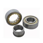 100% GCR15 Nj203 NJ204 NJ207 Cylindrical Roller Bearing