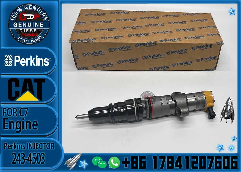 Diesel Engine Parts Common Rail Fuel Injector 243-4503 for CAT C7 Diesel Engine CNDIP Factory price